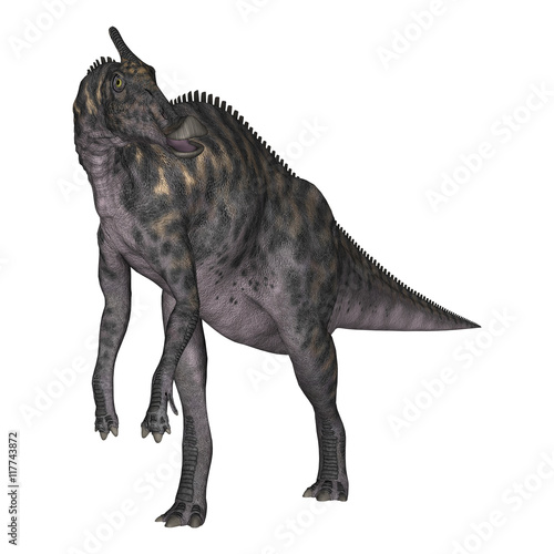 3D Rendering Dinosaur Saurolophus on White