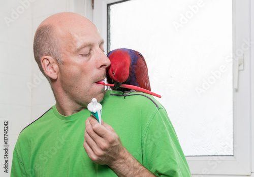 Man brushing his teeth with help from a red parrot