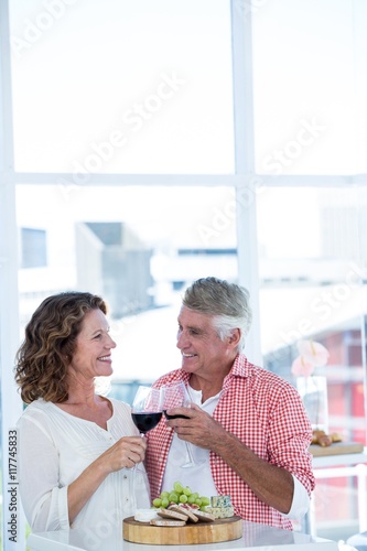 Mature couple toasting wineglasses