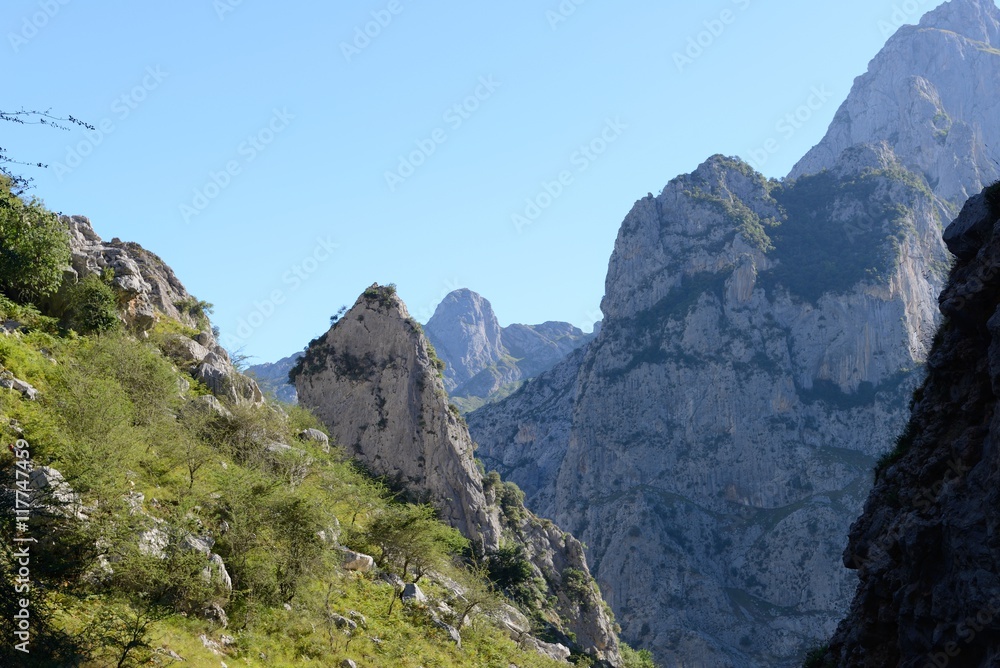 view of the rocks in the morning light