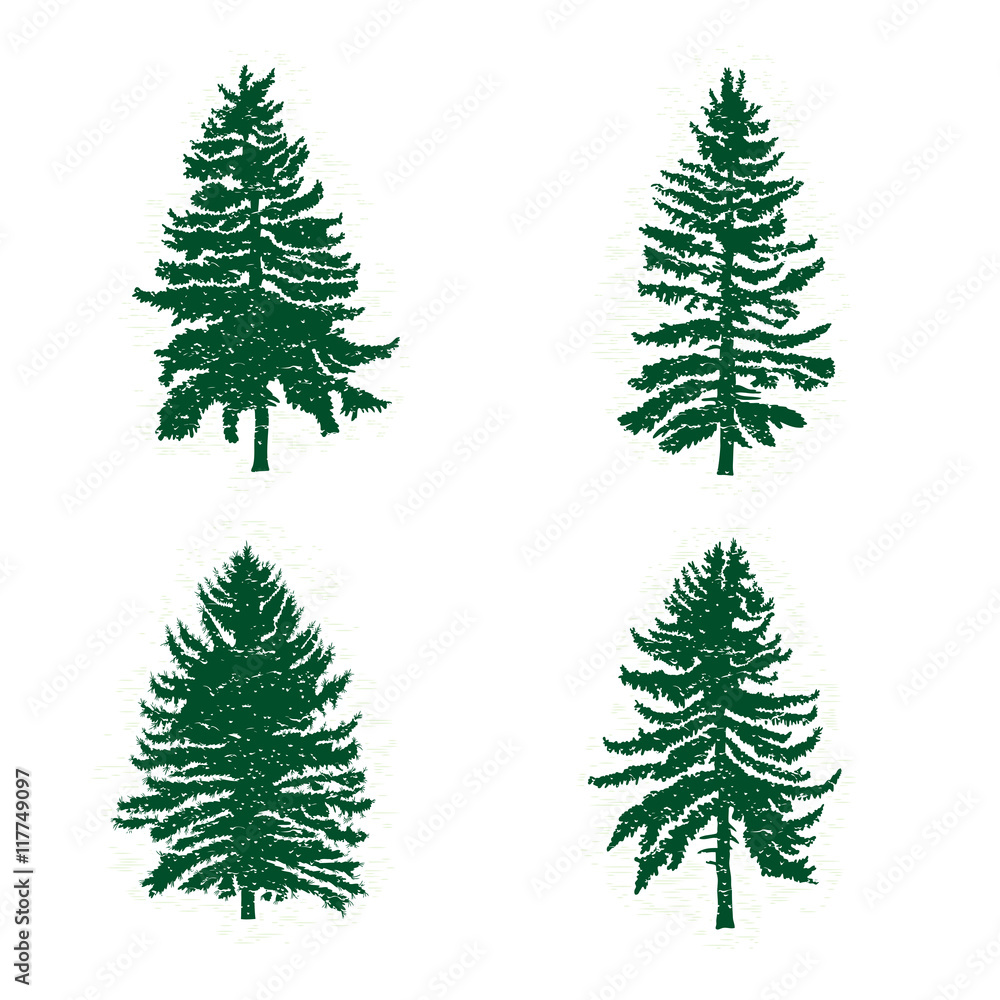 Set of different silhouettes of green pine trees, vector illustration. Collection of vintage textured grunge fir trees design template. Vector illustration.