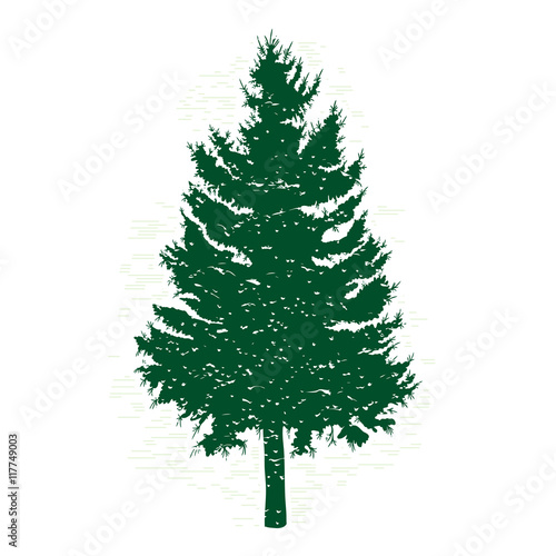 Silhouettes of green pine tree, vector illustration. Vintage textured grunge fir tree design template. Vector illustration.
