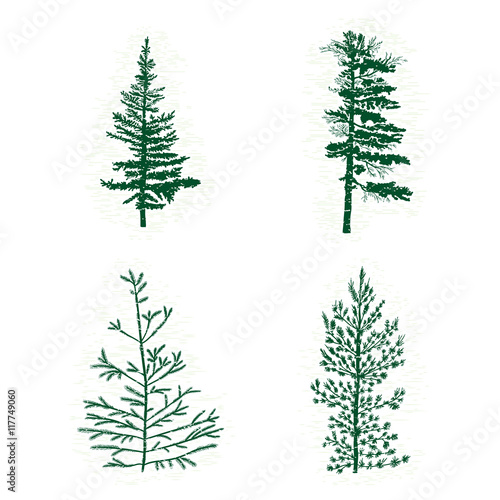 Set of different silhouettes of green pine trees, vector illustration. Collection of vintage textured grunge fir trees design template. Vector illustration.