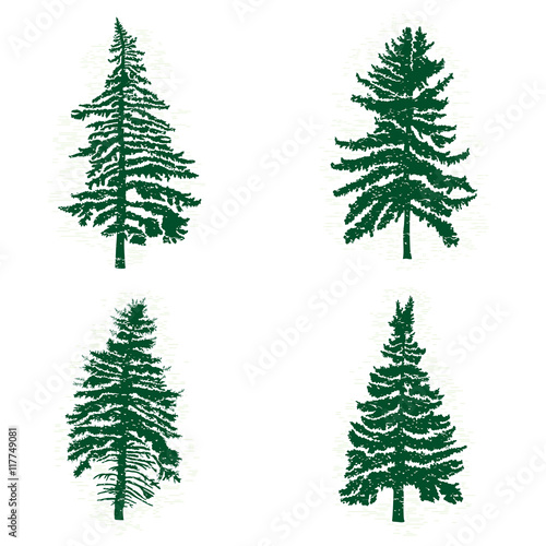 Set of different silhouettes of green pine trees  vector illustration. Collection of vintage textured grunge fir trees design template. Vector illustration.