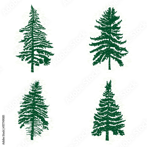 Set of different silhouettes of green pine trees, vector illustration. Collection of vintage textured grunge fir trees design template. Vector illustration.