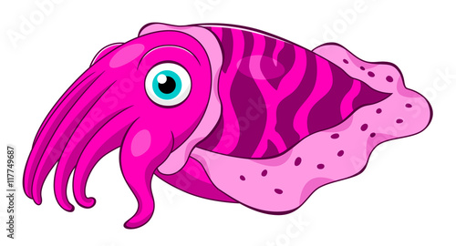 Cartoon cuttlefish photo