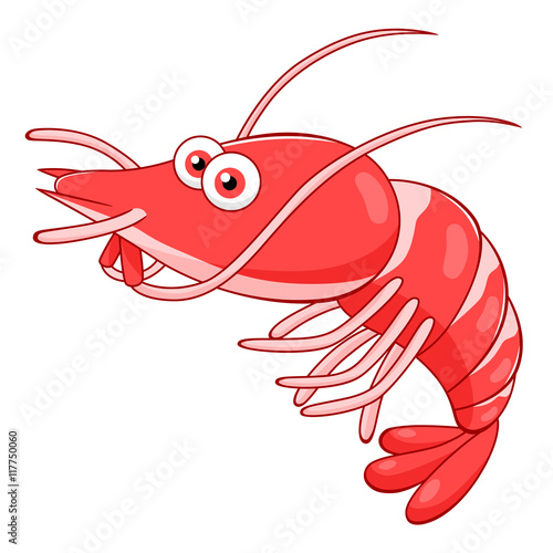 Cartoon shrimp