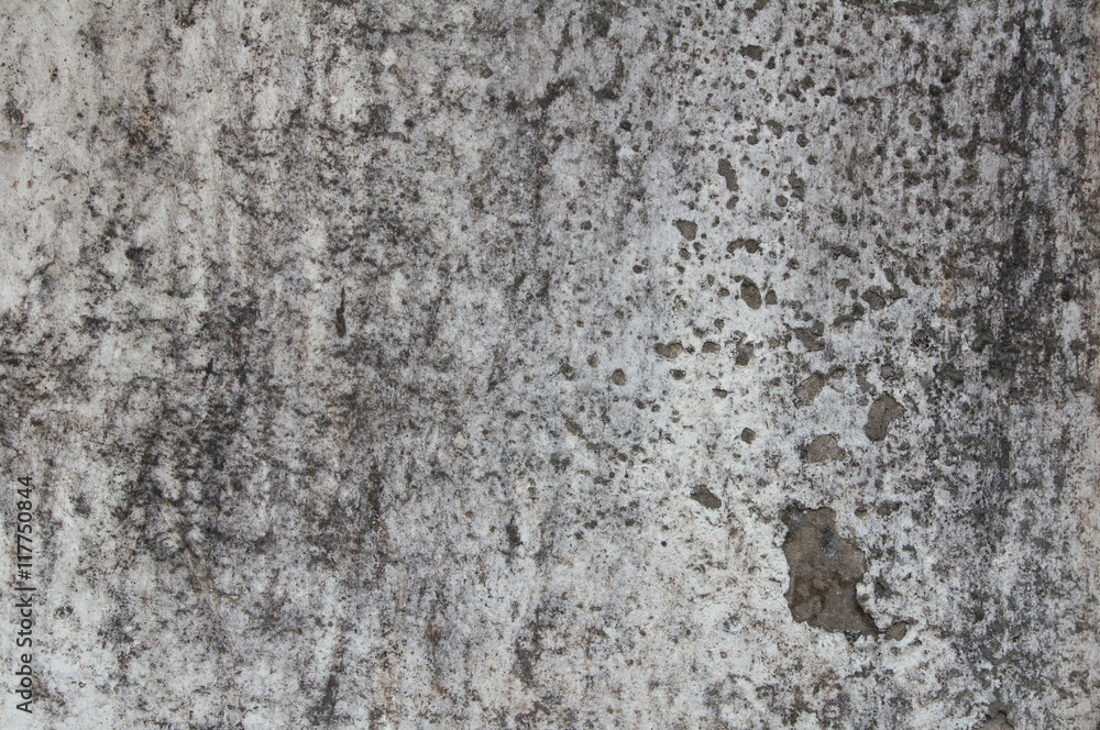 This is the cement wall. It is good background. This is the cement wall. It is good background.