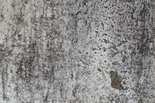 This is the cement wall. It is good background.