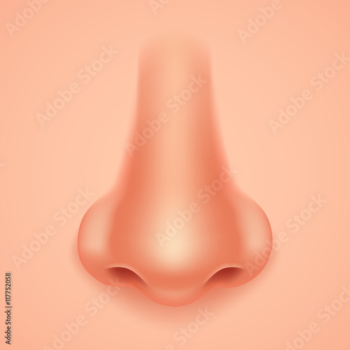 Human Nose Realistic Background Isolated 3d Design Vector Illustration