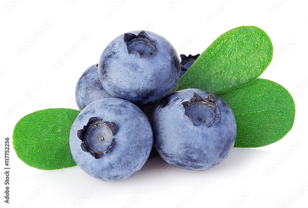 Obraz premium Fresh ripe blueberries with leaves close-up isolated on a white background.