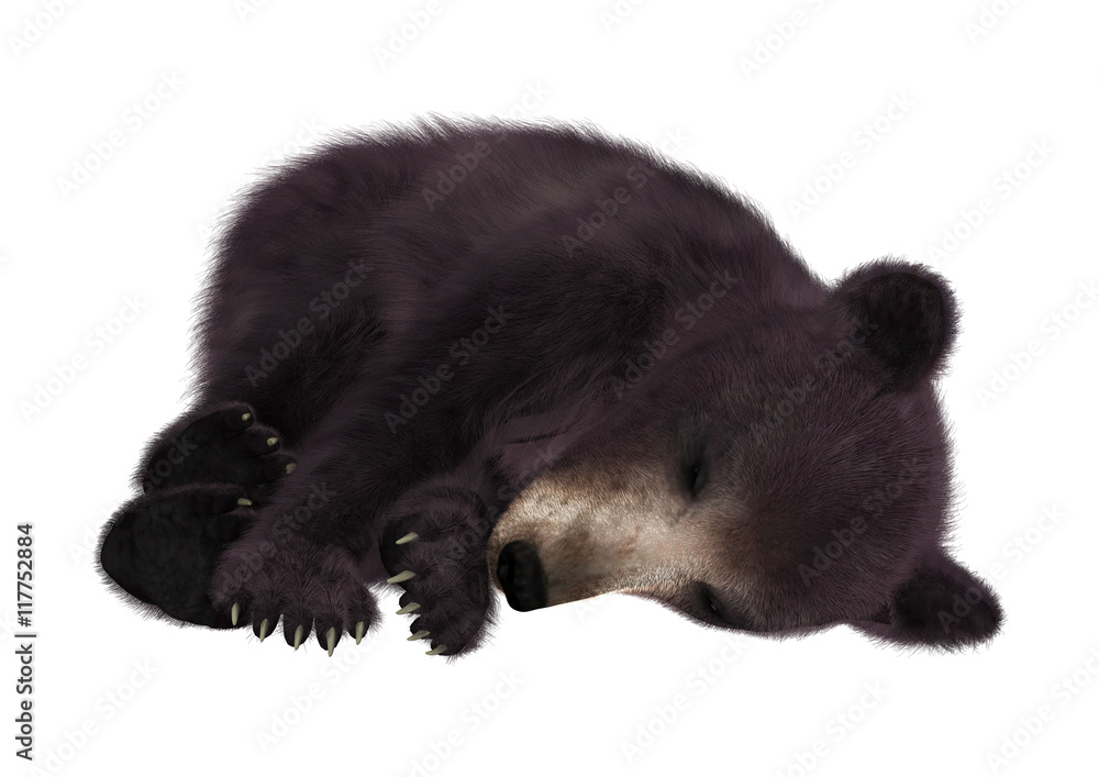 Obraz premium 3D Rendering Black Bear Cub on White