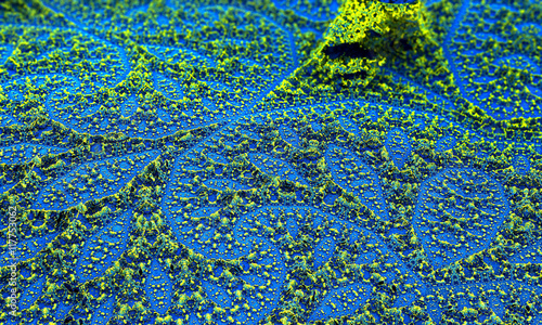 Bacteria and viruses on surface of skin