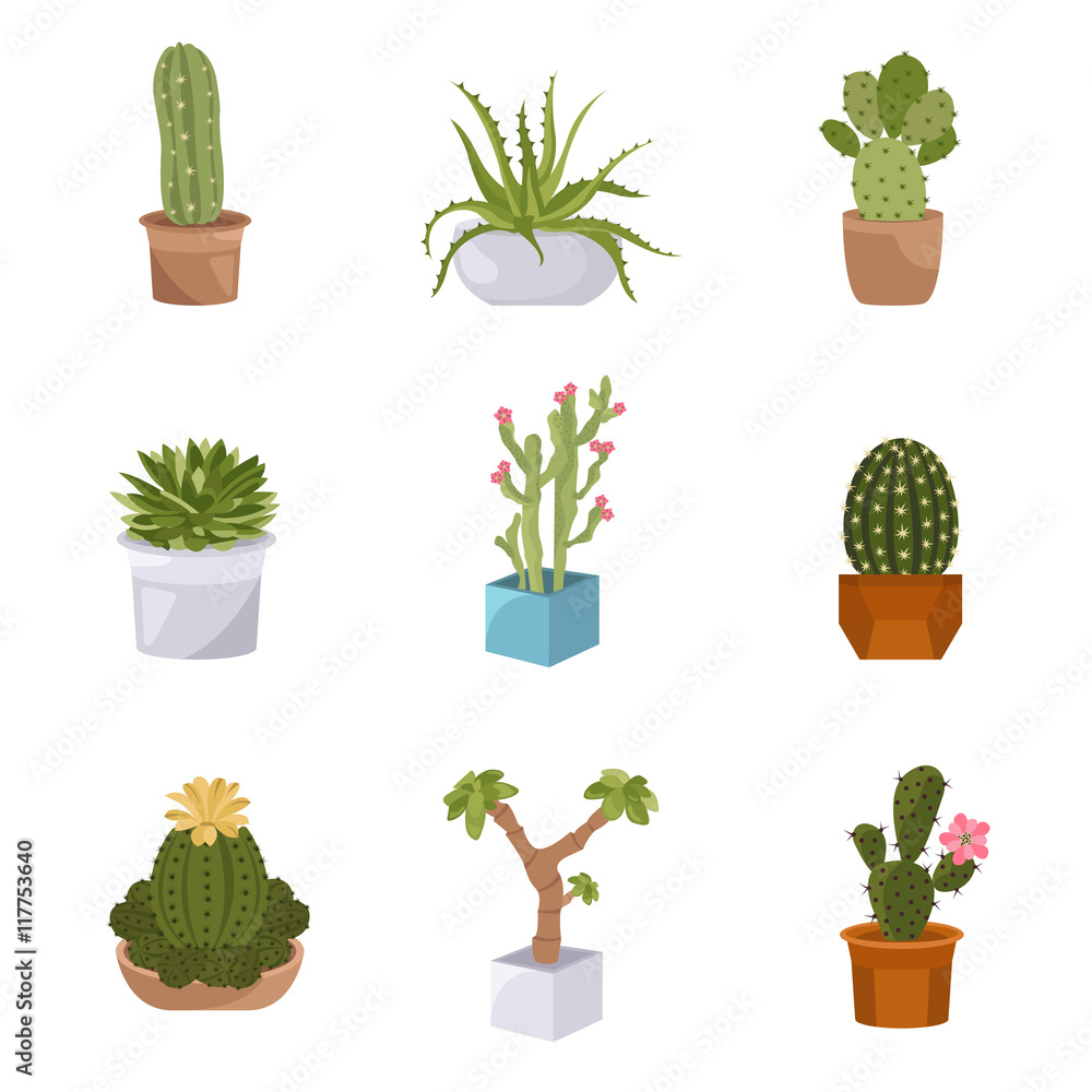 Cactuses and succulents icon set. Houseplants Cactuses and succulents icon set. Houseplants