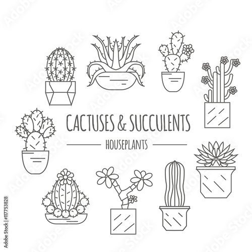 Cactuses and succulents icon set. Houseplants. Thin line design