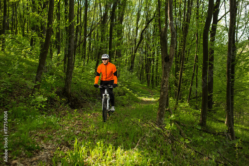 Biker on the forest road