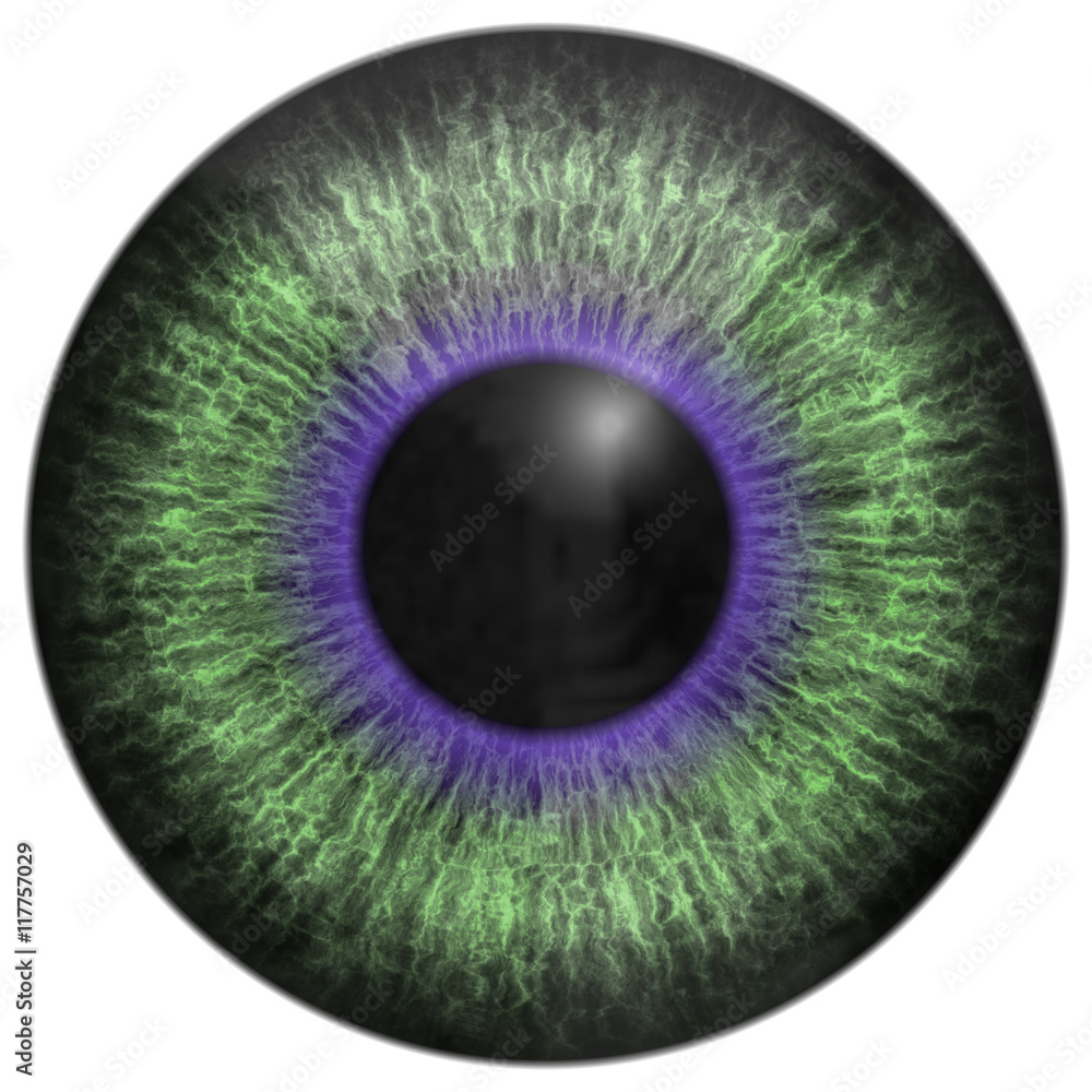 Eye iris generated hires texture