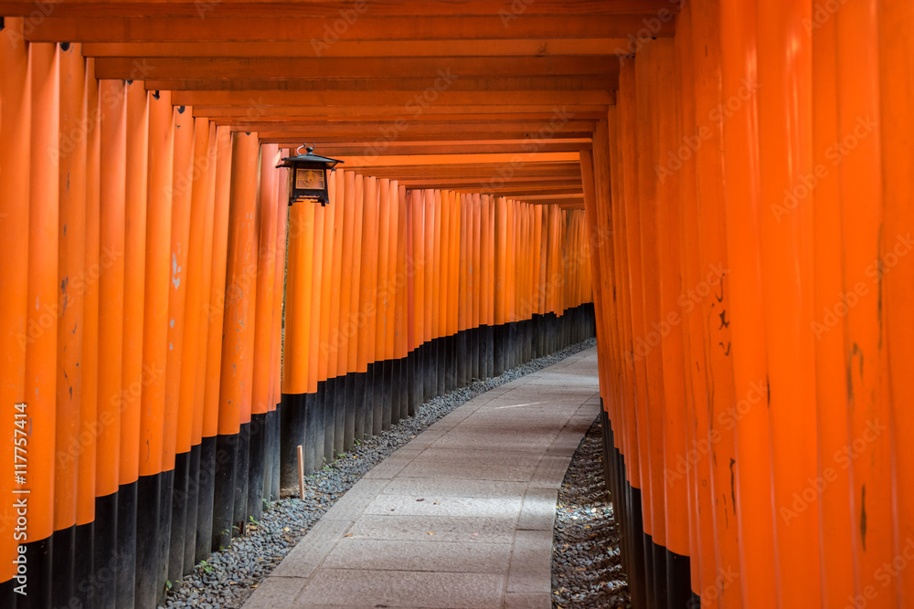 Red Torii of Fushimi Inari Shrine, Kyoto, Japan Red Torii of Fushimi Inari Shrine, Kyoto, Japan