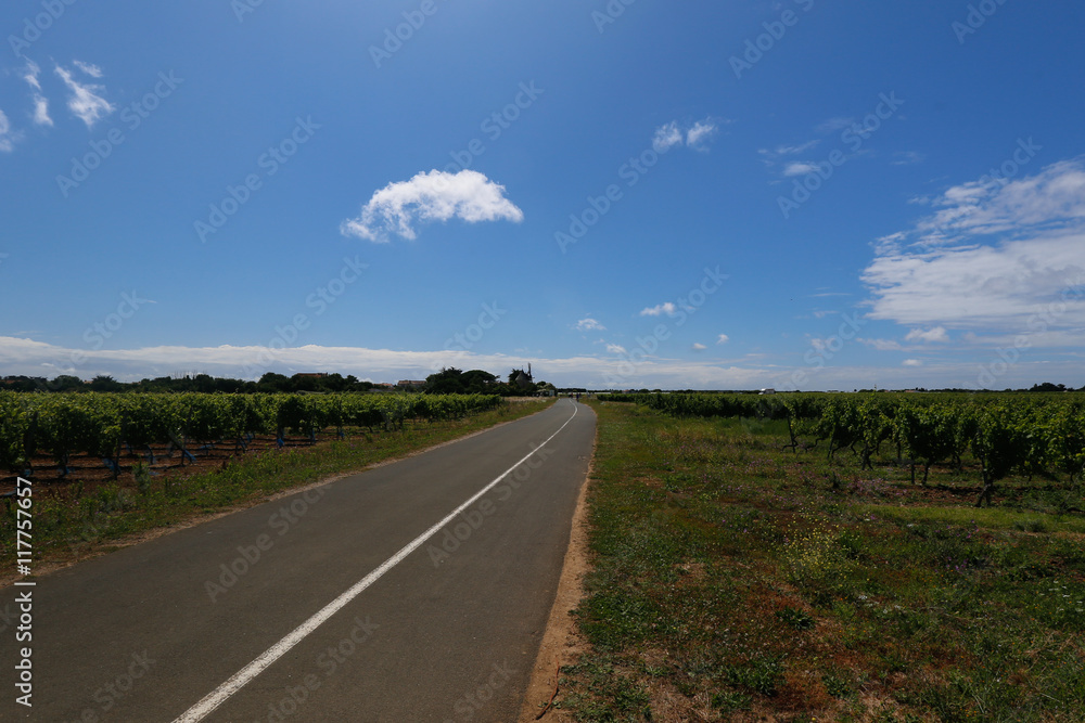 Fototapeta premium ileDeRe2016-7451