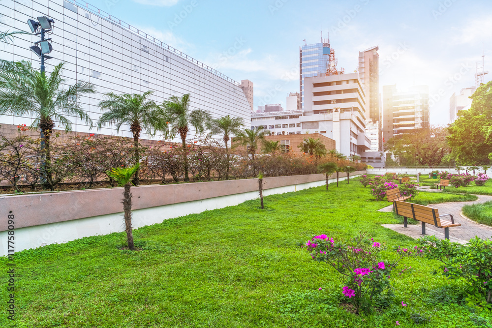 Fototapeta premium View Of Modern Office Buildings From Park