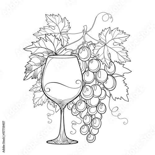 Vector bunch of grape, ornate grape leaves and wineglass in black isolated on white. Outline design elements for wine and winery. Fruit objects in contour style for coloring book and wine decor.
