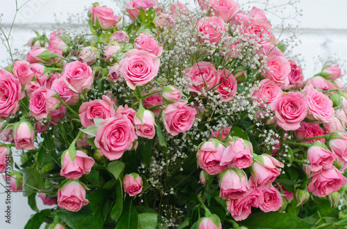 Bouquet of small pink roses, close-up, white background