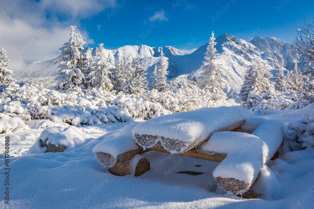 Snow covered bench on a trail in Tatra Mountains, Poland