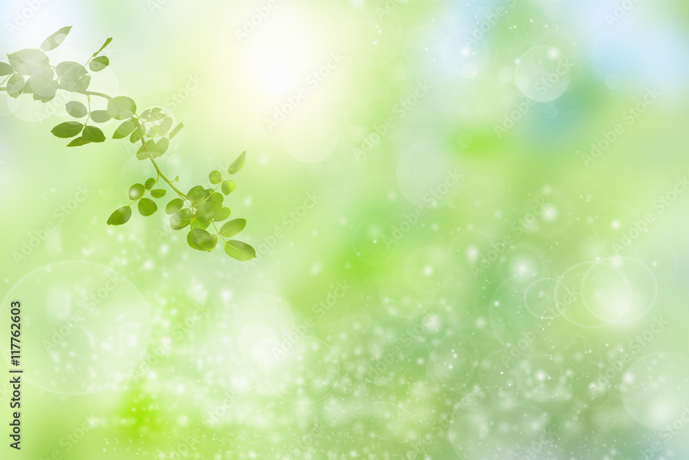Beauty sunny day in the forest, abstract natural backgrounds Beauty sunny day in the forest, abstract natural backgrounds