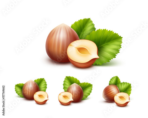 Vector Set of Full and Half Peeled Unpeeled Realistic Hazelnuts with Leaves Close up Isolated on White Background