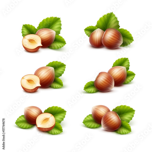 Vector Set of Full and Half Peeled Unpeeled Realistic Hazelnuts with Leaves Close up Isolated on White Background