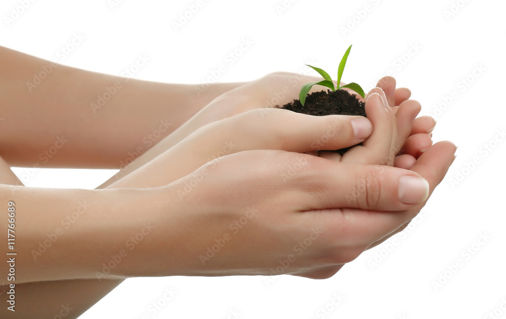 Child and mother holding soil and plant isolated on white Child and mother holding soil and plant isolated on white
