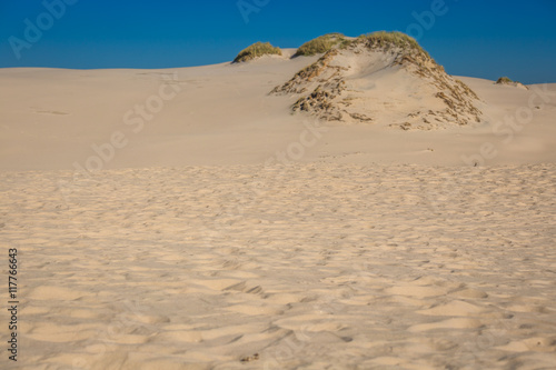 The dunes of the Slowinski national park in Poland