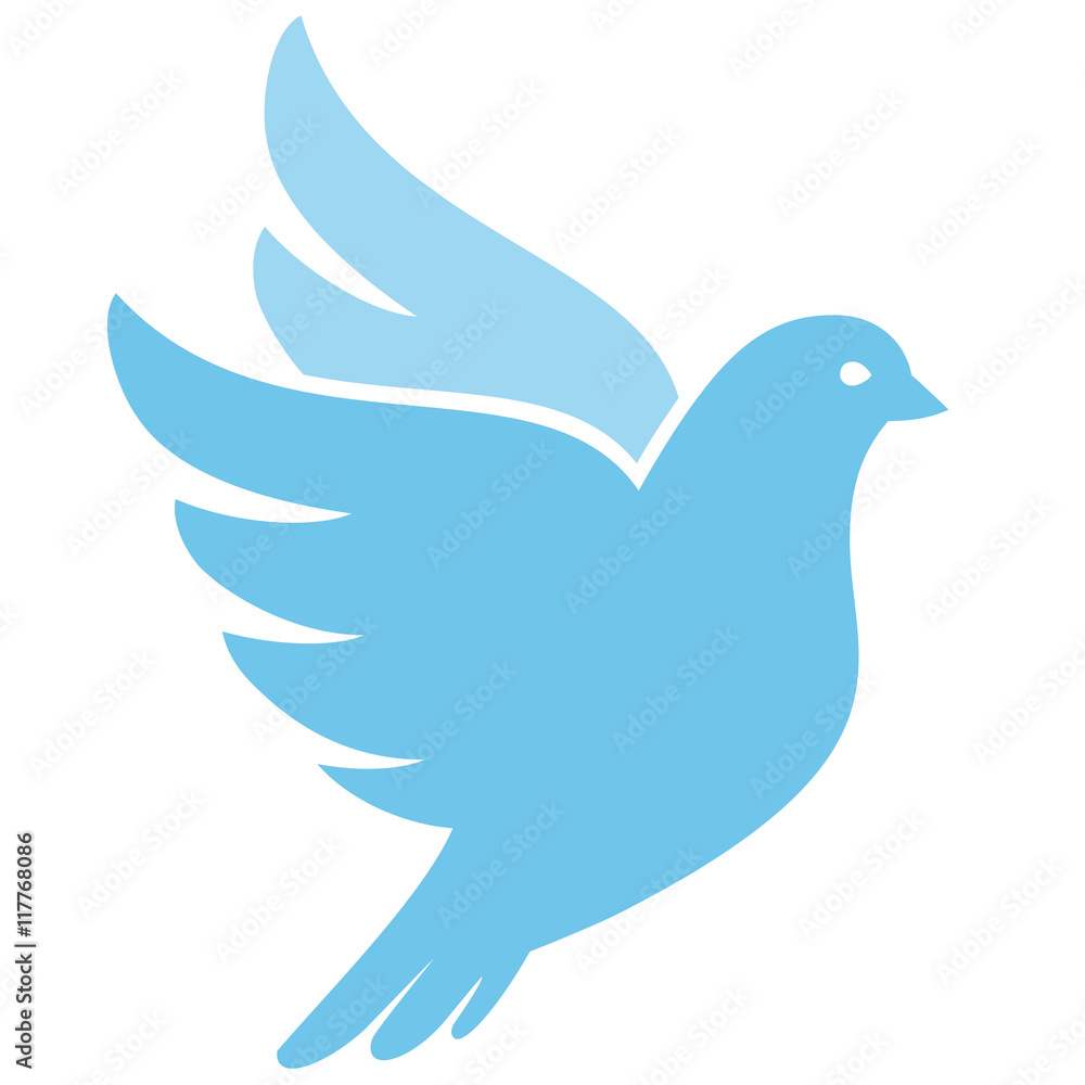 Dove illustration on white background Dove illustration on white background