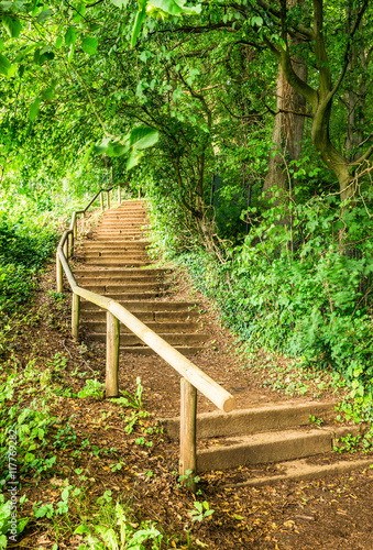 Wald Natur Weg Treppe Stufen