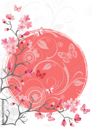 cherry blossom tree, white background