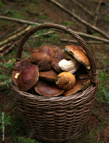 Basket with a mushrooms
