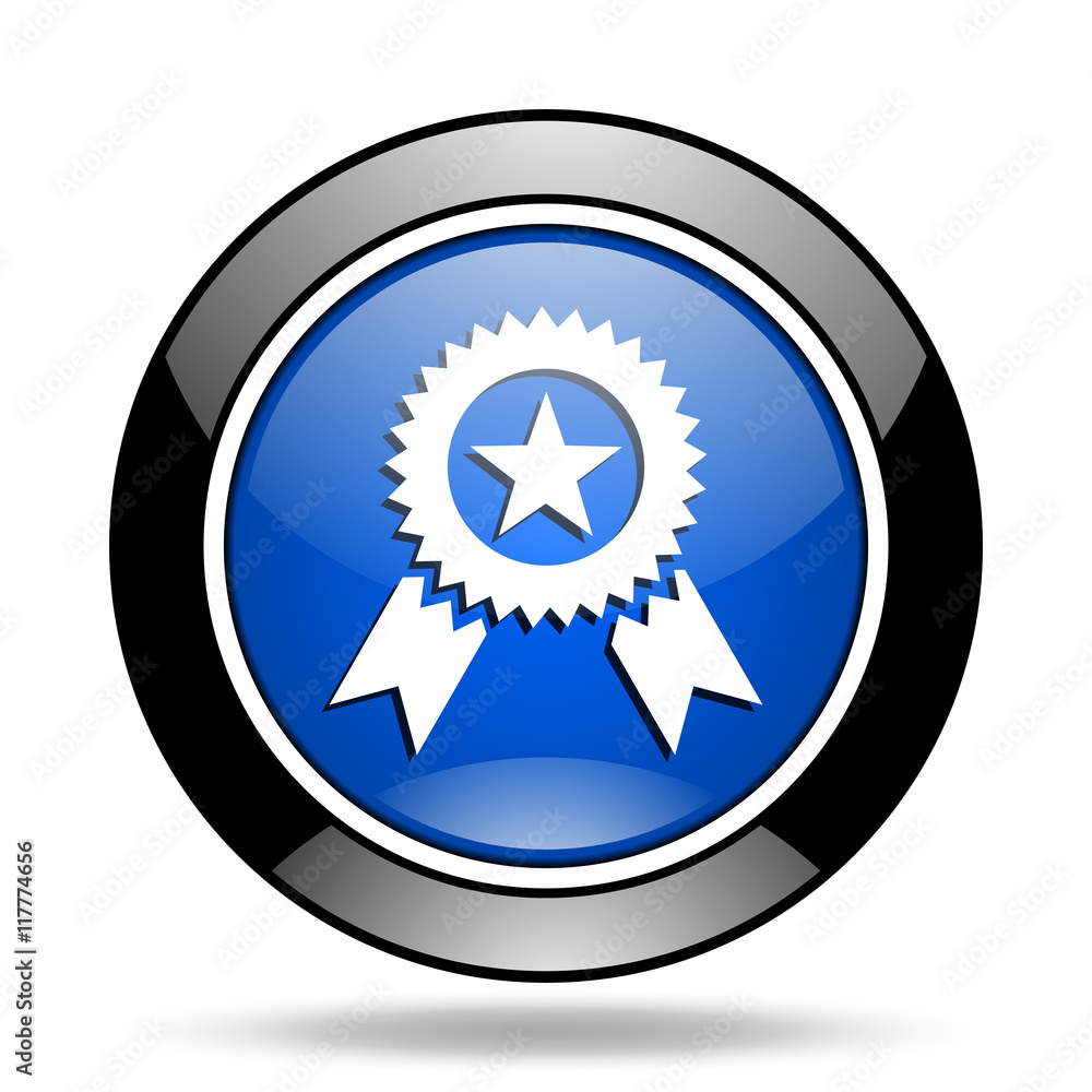 award blue glossy icon award blue glossy icon