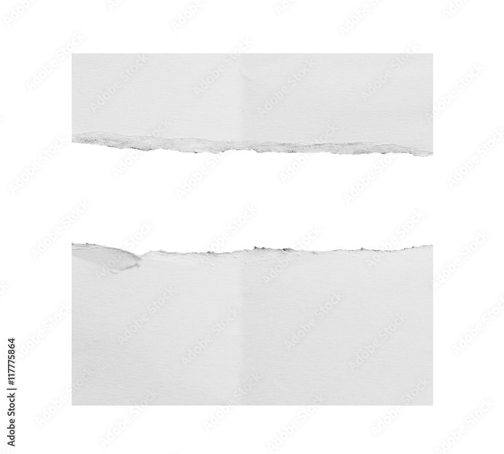 ripped in paper on white , space for copy ripped in paper on white , space for copy