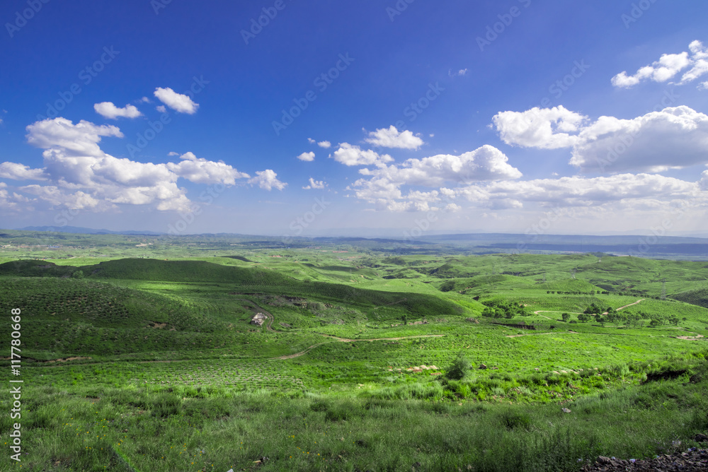 natural grassland, Zhangjiakou, Hebei, China