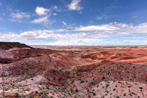 Tiponi Point - Petrified Forest National Park