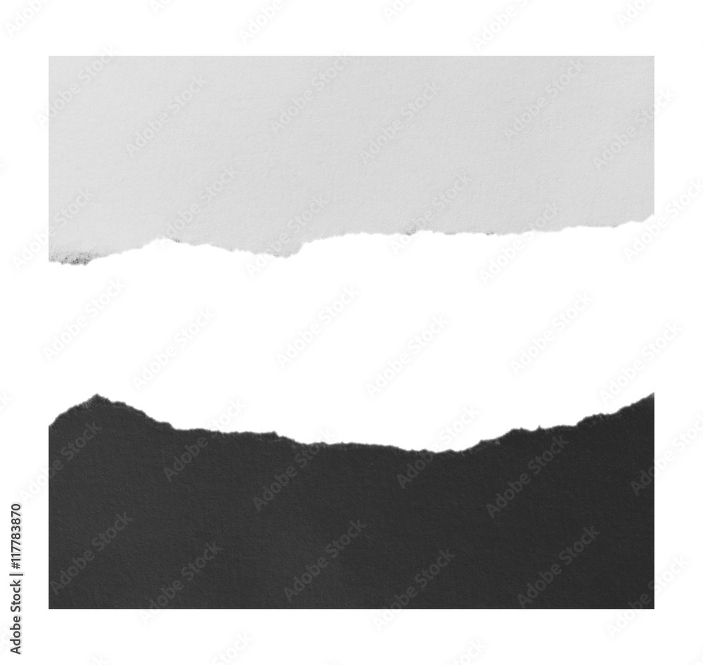 ripped in paper on white , space for copy ripped in paper on white , space for copy