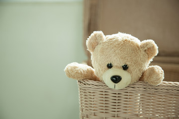 toy teddy bear in basket