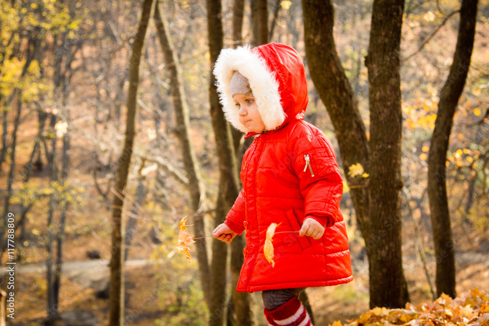 baby in a beautiful autumn forest walks and enjoys a good Sunny weather baby in a beautiful autumn forest walks and enjoys a good Sunny weather