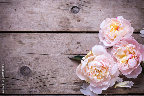 Tender pink peonies flowers on aged wooden background. Flat lay. © daffodilred