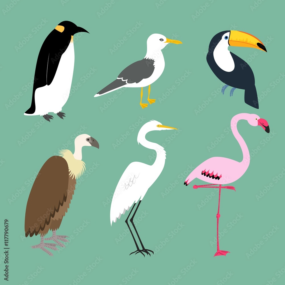 Fototapeta premium Variety of birds