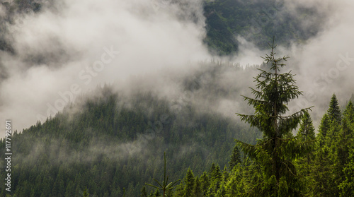 Mountain landscape in the Transylvanian Alps in summer  with mist clouds after the rain