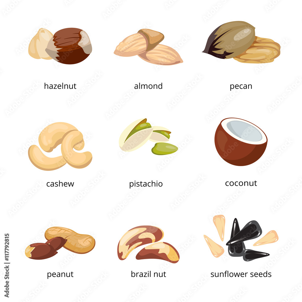 Cartoon nuts vector set Cartoon nuts vector set