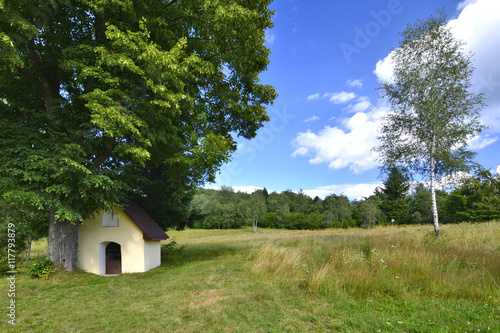 Fototapeta Naklejka Na Ścianę i Meble -  Kapliczka na przełeczy w górach Cergov