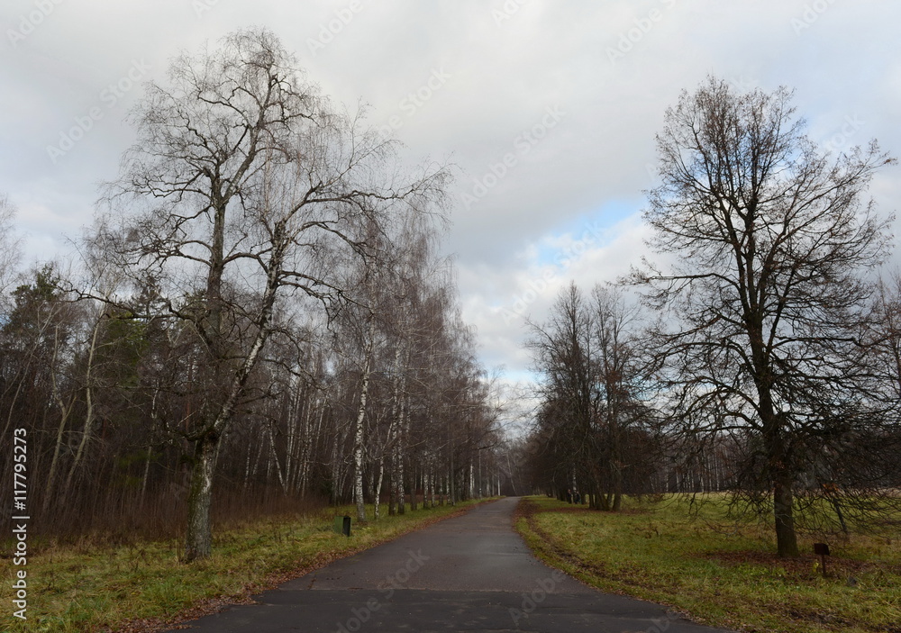 Autumn landscape in the Park of the Lenin hills Autumn landscape in the Park of the Lenin hills