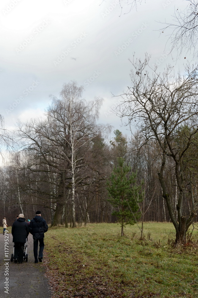  Autumn landscape in the Park of the Lenin hills